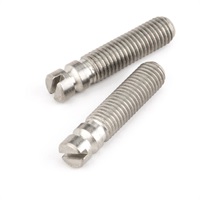 Bridge Pivot Screws (2個入り) [0028957049]
