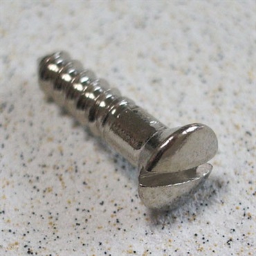【創業50周年大決算SALE】 Inch TL pickguard screws (10本入り)[931]