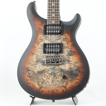 Bacchus Limited Edition BLP-STD 1957 (Gold Top) ｜イケベ楽器