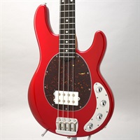 StingRay Special 1H (Candyman / Ebony) 【特価】 【amPlug 3 Tone Hammerプレゼントキャンペーン】