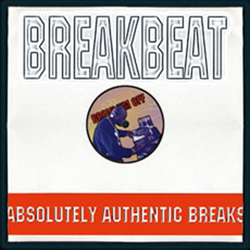 BIG FISH AUDIO BREAKBEAT(オンライン納品)(2時間以内に納品)
