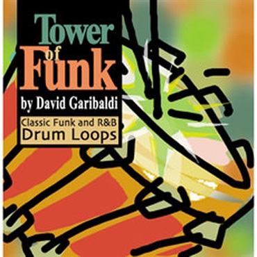 BIG FISH AUDIO TOWER OF FUNK(オンライン納品)(2時間以内に納品)
