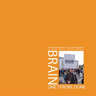 BIG FISH AUDIO BRAIN ONE STROKE DONE(オンライン納品)(2時間以内に納品)