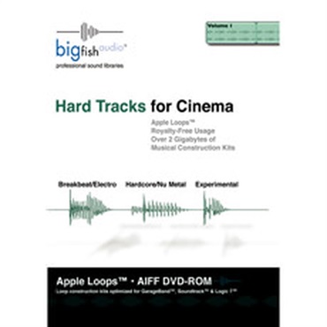 BIG FISH AUDIO HARD TRACKS FOR CINEMA(オンライン納品)(2時間以内に納品)