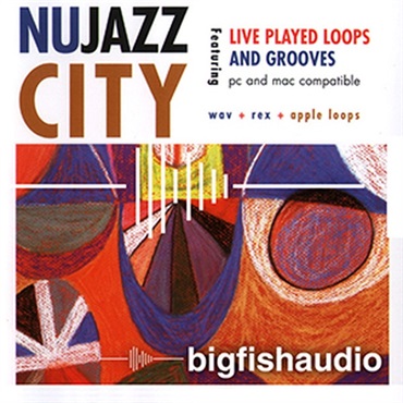 BIG FISH AUDIO NU JAZZ CITY(オンライン納品)(2時間以内に納品)