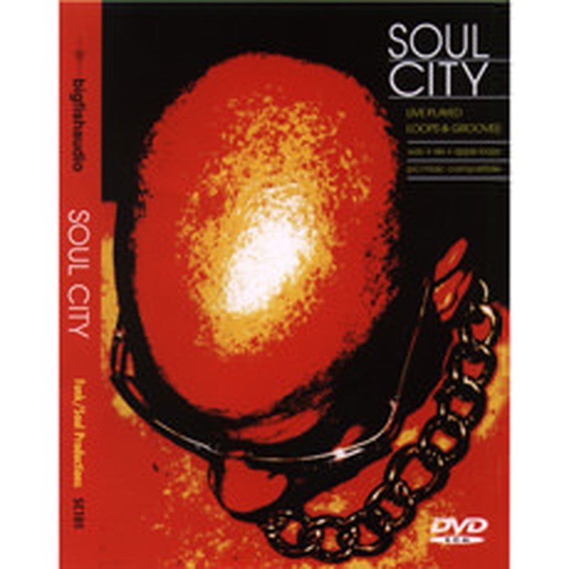 BIG FISH AUDIO SOUL CITY(オンライン納品)(2時間以内に納品
