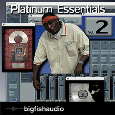 BIG FISH AUDIO PLATINUM ESSENTIALS 2(オンライン納品)(2時間以内に納品)