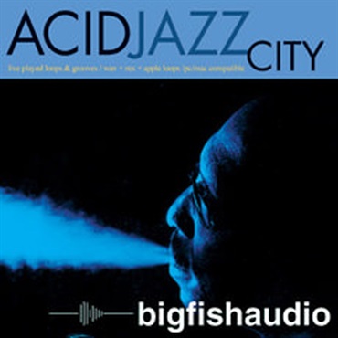 BIG FISH AUDIO ACID JAZZ CITY(オンライン納品)(2時間以内に納品)
