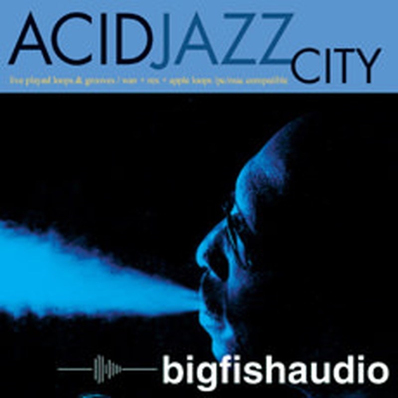 BIG FISH AUDIO ACID JAZZ CITY(オンライン納品)(2時間以内に納品)