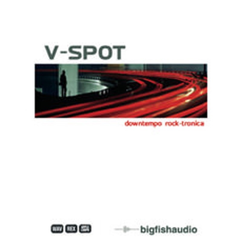 BIG FISH AUDIO V SPOT(オンライン納品)(2時間以内に納品)