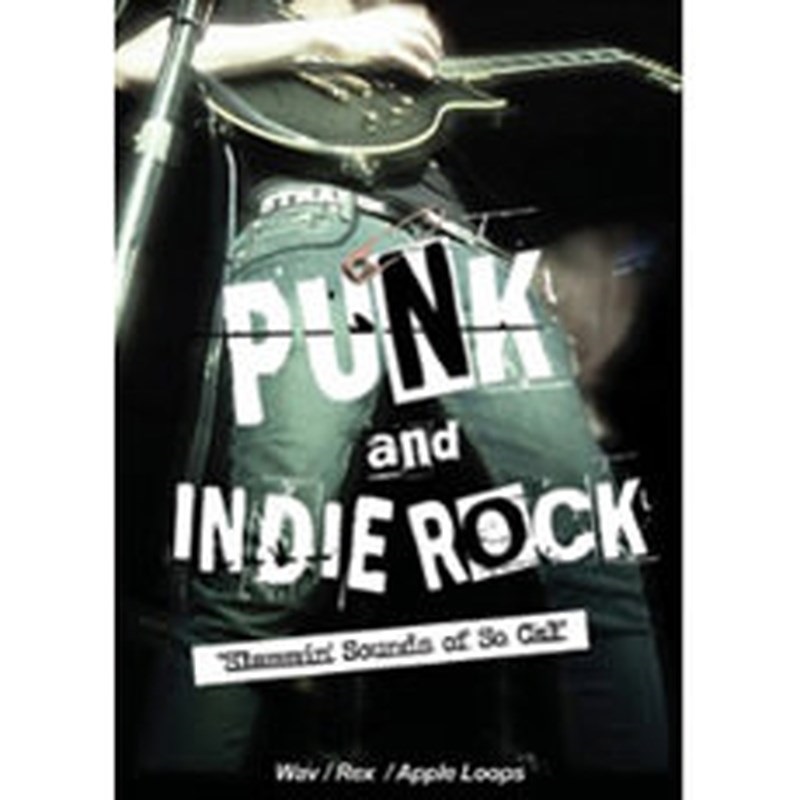 BIG FISH AUDIO PUNK AND INDIE ROCK(オンライン納品)(2時間以内に納品)