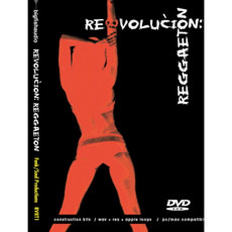 BIG FISH AUDIO REVOLUCION REGGAETON(オンライン納品)(2時間以内に納品)