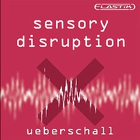 SENSORY DISRUPTION / ELASTIK(オンライン納品)(2時間以内に納品)