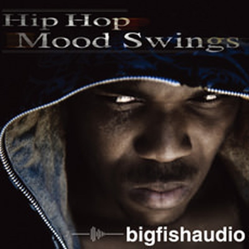 BIG FISH AUDIO HIP HOP MOOD SWINGS(オンライン納品)(2時間以内に納品)