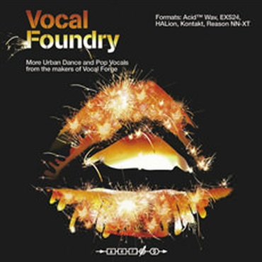 ZERO-G VOCAL FOUNDRY(オンライン納品)(2時間以内に納品)