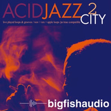 BIG FISH AUDIO ACID JAZZ CITY 2(オンライン納品)(2時間以内に納品)
