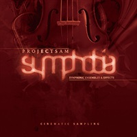 SYMPHOBIA 1(オンライン納品)(2時間以内に納品)