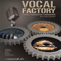 VOCAL FACTORY(オンライン納品)(2時間以内に納品)