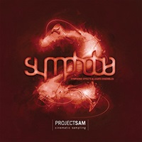 SYMPHOBIA 2(オンライン納品)(2時間以内に納品)