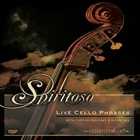 SPIRITOSO LIVE CELLO PHRASES(オンライン納品)(2時間以内に納品)