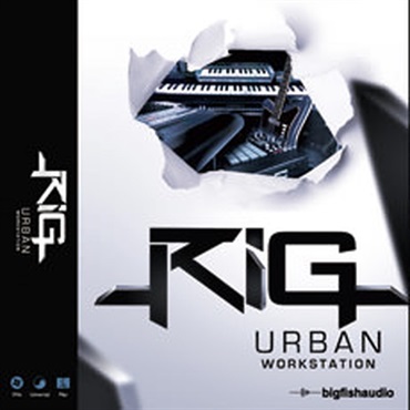 BIG FISH AUDIO RIG - URBAN WORKSTATION(オンライン納品)(2時間以内に納品)