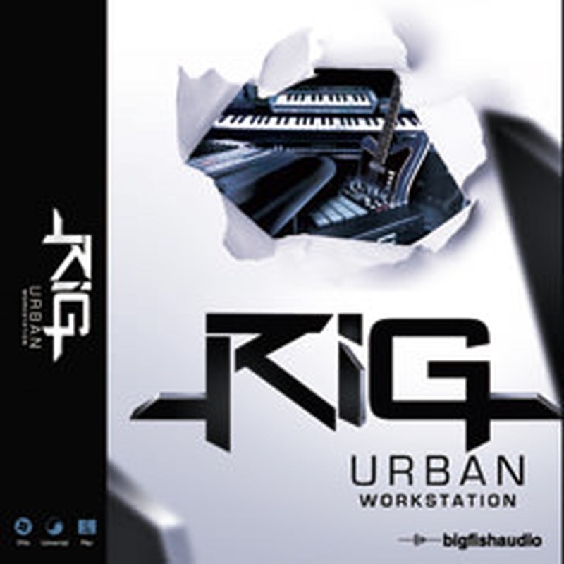BIG FISH AUDIO RIG - URBAN WORKSTATION(オンライン納品)(2時間以内に納品)