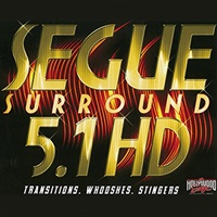 【サウンドイデアMID YEAR SALE！】SEGUE SURROUND 5.1 HD(オンライン納品)(2時間以内に納品)