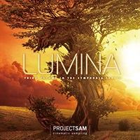 SYMPHOBIA 3: LUMINA(オンライン納品)(2時間以内に納品)