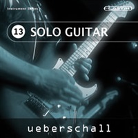 SOLO GUITAR / ELASTIK(オンライン納品)(2時間以内に納品)