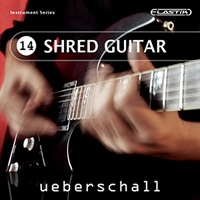 SHRED GUITAR / ELASTIK(オンライン納品)(2時間以内に納品)