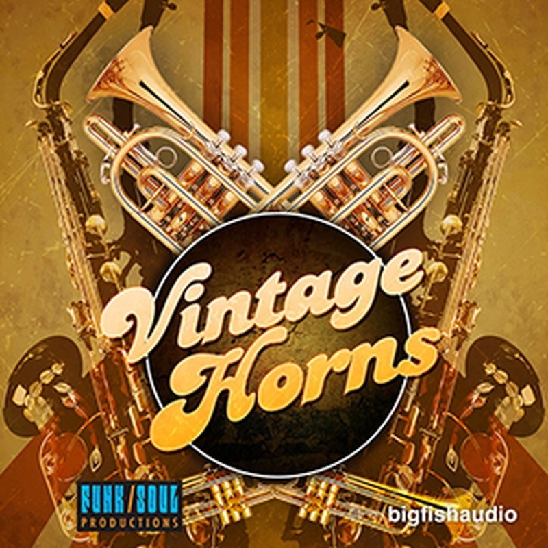 BIG FISH AUDIO VINTAGE HORNS(オンライン納品)(2時間以内に納品)