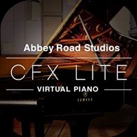 GARRITAN CFX LITE(オンライン納品)(2時間以内に納品)