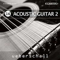ACOUSTIC GUITAR 2 / ELASTIK(オンライン納品)(2時間以内に納品)