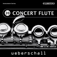 CONCERT FLUTE / ELASTIK(オンライン納品)(2時間以内に納品)