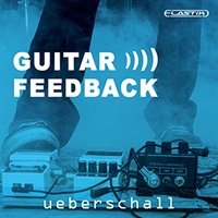 GUITAR FEEDBACK / ELASTIK(オンライン納品)(2時間以内に納品)