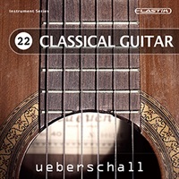 CLASSICAL GUITAR / ELASTIK(オンライン納品)(2時間以内に納品)