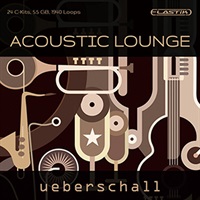 ACOUSTIC LOUNGE / ELASTIK(オンライン納品)(2時間以内に納品)