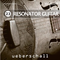 RESONATOR GUITAR / ELASTIK(オンライン納品)(2時間以内に納品)