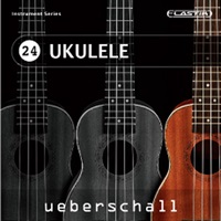 UKULELE / ELASTIK(オンライン納品)(2時間以内に納品)