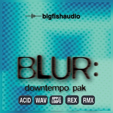 BIG FISH AUDIO BLUR - DOWNTEMPO PAK(オンライン納品)(2時間以内に納品)