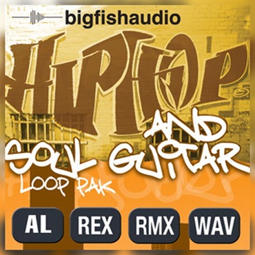 BIG FISH AUDIO HIP HOP AND SOUL GUITAR PAK(オンライン納品)(2時間以内に納品)