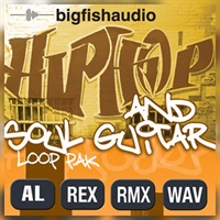 【ビッグフィッシュオーディオサンプルパックが25%OFF！】HIP HOP AND SOUL GUITAR PAK(オンライン納品)(2時間以内に納品)
