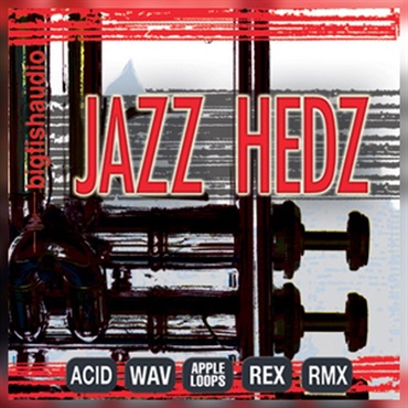 BIG FISH AUDIO JAZZ HEDZ - ACID JAZZ PAK(オンライン納品)(2時間以内に納品)