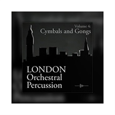 BIG FISH AUDIO LOP - CYMBAL/GONG(オンライン納品)(2時間以内に納品)