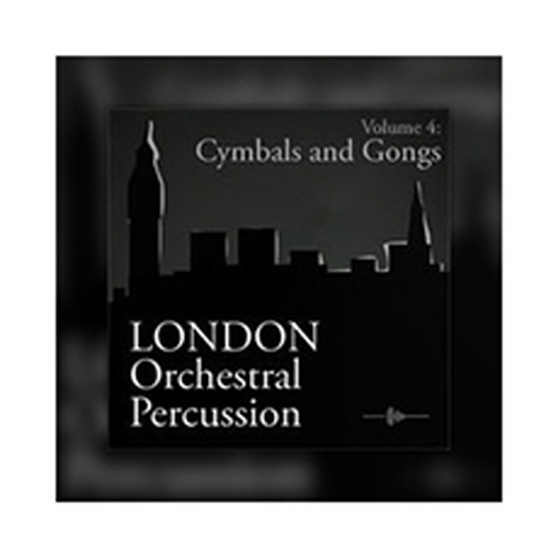 BIG FISH AUDIO LOP - CYMBAL/GONG(オンライン納品)(2時間以内に納品)
