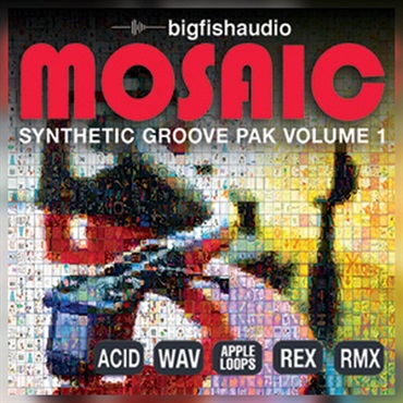 MOSAIC - SYNTHETIC GROOVE PAK VOL.1(オンライン納品)(2時間以内に納品)