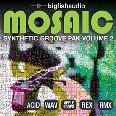 BIG FISH AUDIO MOSAIC - SYNTHETIC GROOVE PAK VOL.2(オンライン納品)(2時間以内に納品)
