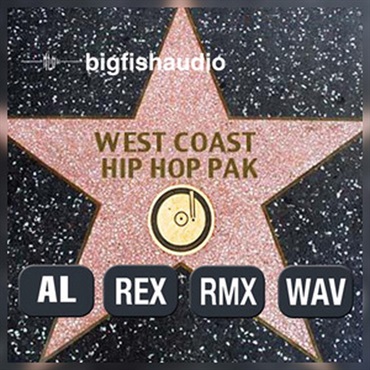 BIG FISH AUDIO WEST COAST HIP HOP PAK(オンライン納品)(2時間以内に納品)