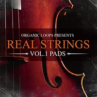 REAL STRINGS 1 PADS