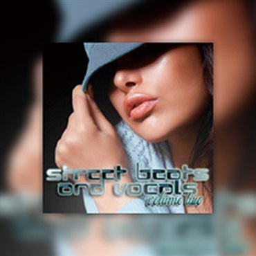 BIG FISH AUDIO STREET BEATS & VOCALS VOL.2(オンライン納品)(2時間以内に納品)